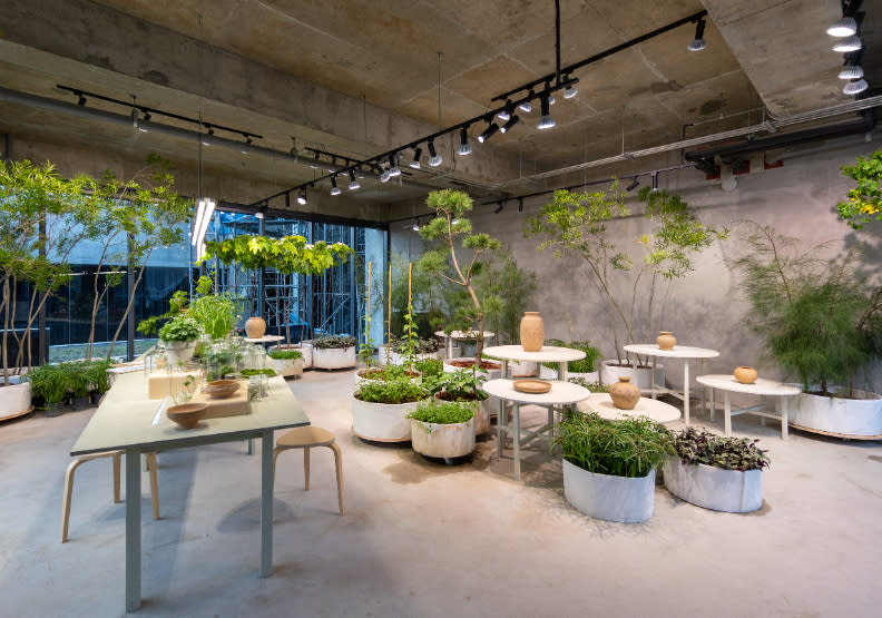 新美館植物藝術家賴怡璋的展場。新北美術館提供。