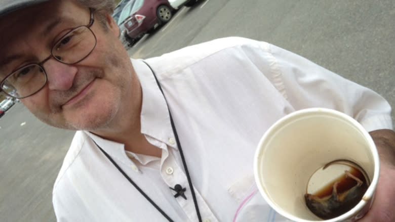 McDonald&#39;s coffee cup contained dead mouse, Fredericton man says. (CBC)