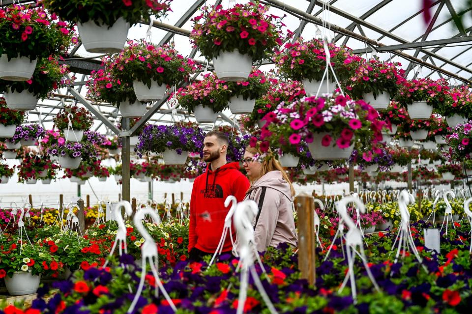 Jacob Sharpe, left, and Samantha Sears peruse the hundreds of colorful flower options while shopping at Lansing Gardens on Saturday, April 30, 2022, in Lansing.