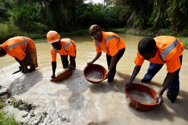 Many African countries have seen their fortunes rise and fall with the prices of exported commodities such as oil, cocoa and gold