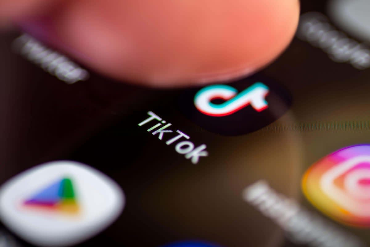 Children are more likely to see content of real-life violence on TiKTok than on any other social media platform (Alamy/PA)