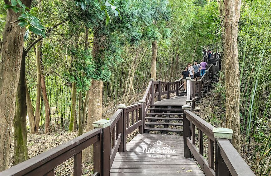 台中后里｜鳳凰山登山步道