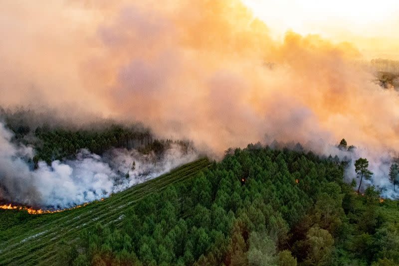 A view of trees burning amid a wildfire near Landiras