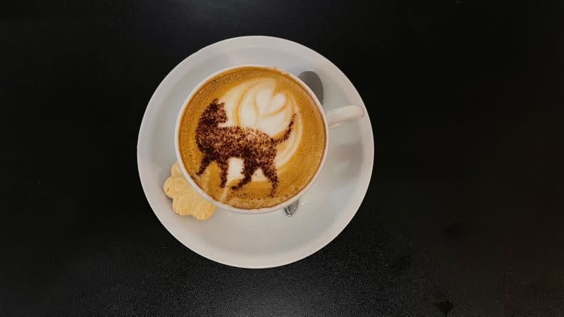 Un capuchino con la imagen de un gato es fotografiado en Gato Café, donde los clientes pueden relajarse mientras adoptan un felino, en Río de Janeiro, Brasil.