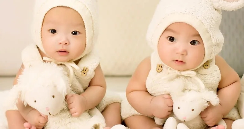 Identical twins raised apart in Korea and US have similar personality traits but different IQs