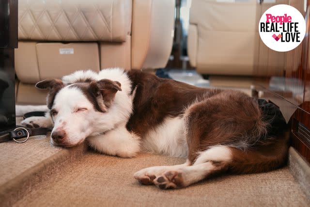 <p>Photography by Adri</p> Nelly sleeping on the flight from Milan to Newark in January