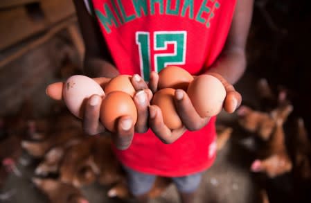 Victor Kyalo holds half a dozen eggs at his small household farm in the outskirts of Nairobi