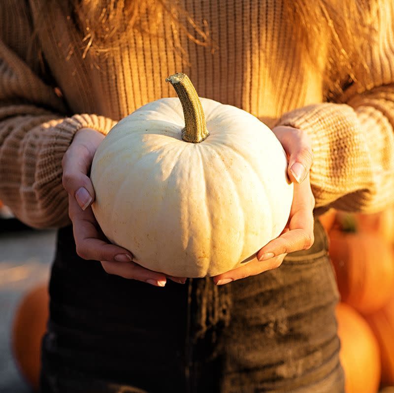 The Funniest Pumpkin Quotes and Puns to Use on Instagram