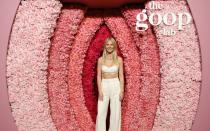 Mit einer Kerze, die angeblich nach ihrer Vagina riecht, machte Goop, die Wellness- und Lifestyle-Marke von Gwyneth Paltrow, letztes Jahr Schlagzeilen. Für die Oscar-Preisträgerin ist die Online-Plattform für Beauty- und Fashion-Produkte viel mehr als ein lohnendes Nebengeschäft: Die Firma wird auf 250 Millionen, Paltrows Vermögen auf 100 Milllionen Dollar geschätzt. (Bild: Rachel Murray/Getty Images)