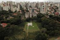 Sao Paulo's Biological Institute hosts one of the largest urban coffee plantations in the world