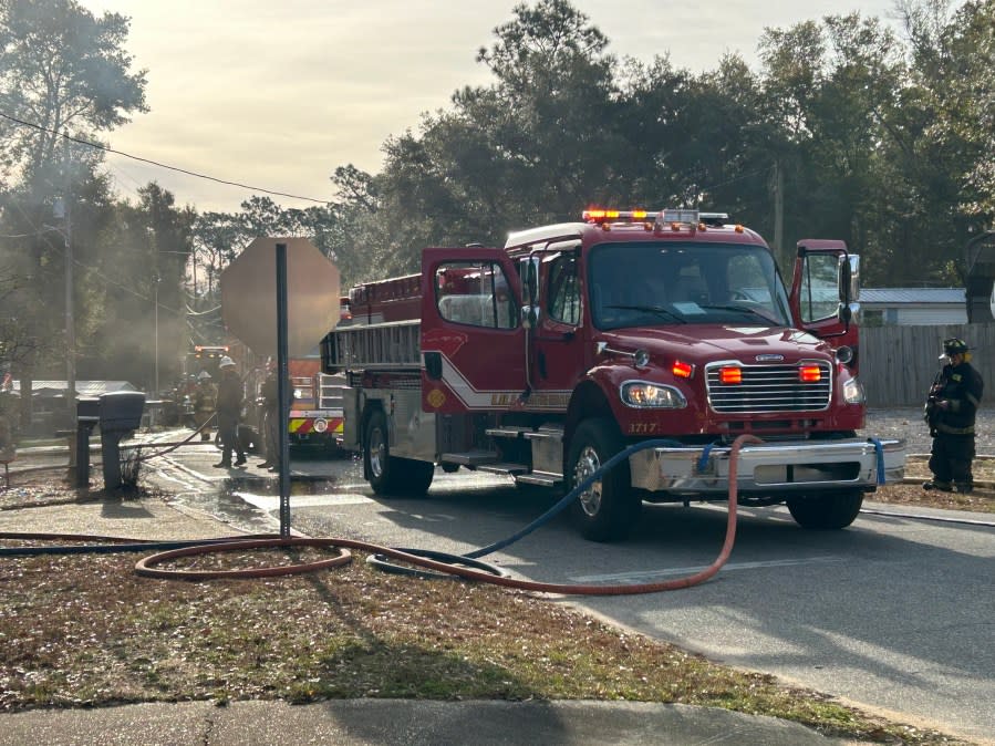 Brush fire in Lillian, Alabama