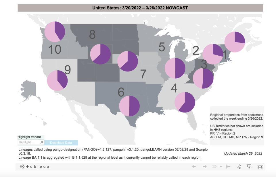 New BA.2 cases, shown in pink, vs. BA.1 cases, in purple. - Credit: CDC