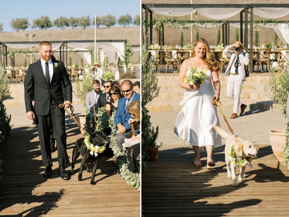 A side-by-side of two dogs walking down a wedding aisle.