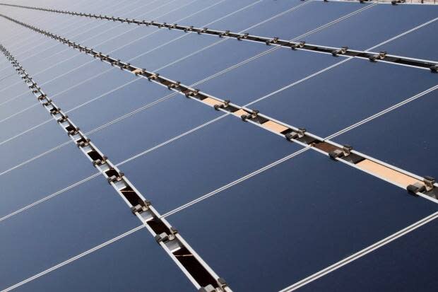 The proposed solar project in Carcross would generate enough power to electrify an average of 400 homes per year, according to the Carcross/Tagish Management Corporation. (Susan Montoya Bryan/The Associated Press - image credit)