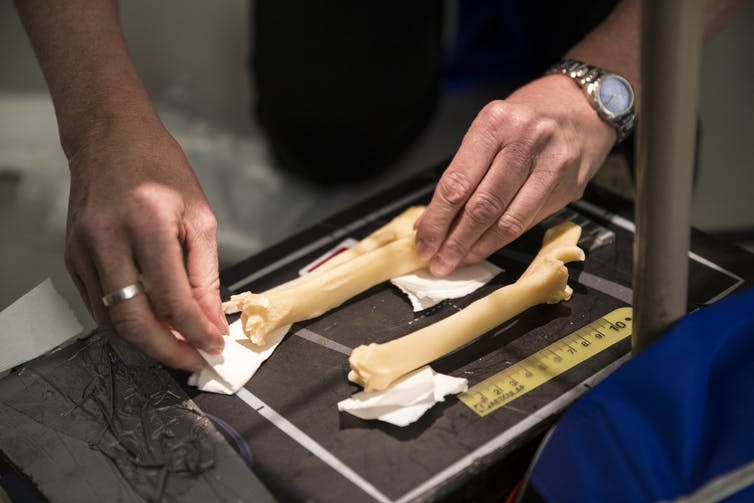 <span class="caption">Professor David Gardner setting up radiographs.</span> <span class="attribution"><span class="source">University of Nottingham</span></span>