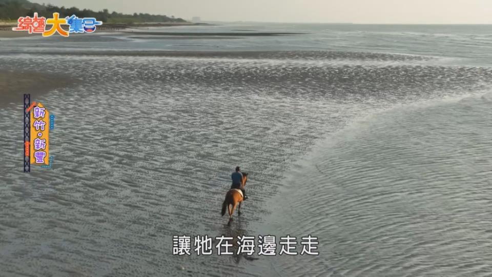 沙灘騎馬伴夕陽太美！ 《綜藝大集合》大玩賽馬下注 馬匹還差點吞了「他」？！