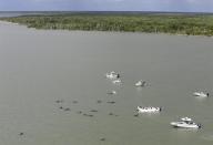 Officials in boats monitor the scene where dozens of pilot whales are stranded in shallow water in a remote area of Florida's Everglades National Park, Wednesday, Dec. 4, 2013. (AP Photo/Lynne Sladky)