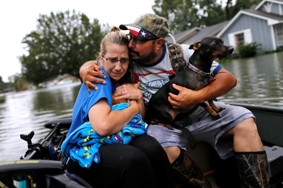 Animals rescued in the aftermath of Harvey