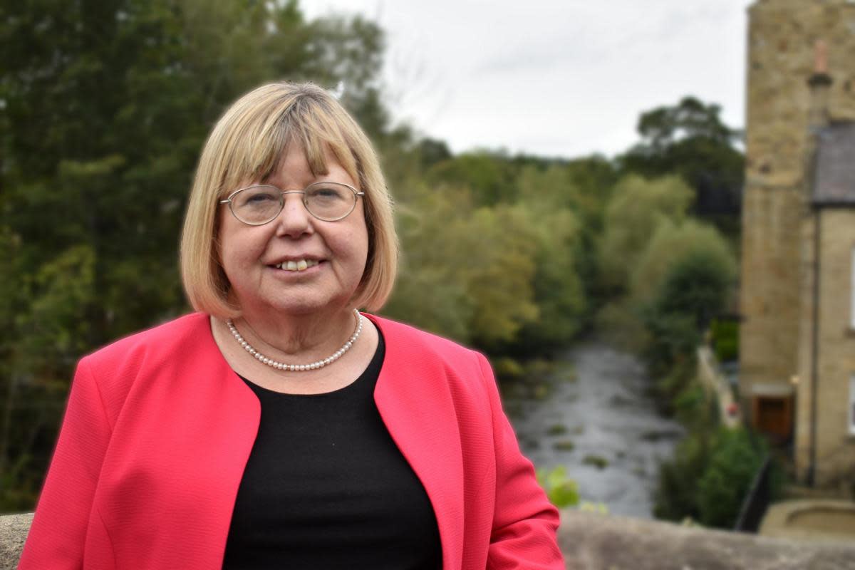 Liz Twist has been elected MP for Blaydon and Consett. <i>(Image: Liz Twist)</i>