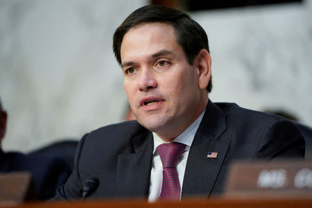 FILE PHOTO: Senator Marco Rubio questions witnesses before the Senate Intelligence Committee hearing about "worldwide threats" on Capitol Hill in Washington, U.S., January 29, 2019. REUTERS/Joshua Roberts/File Photo