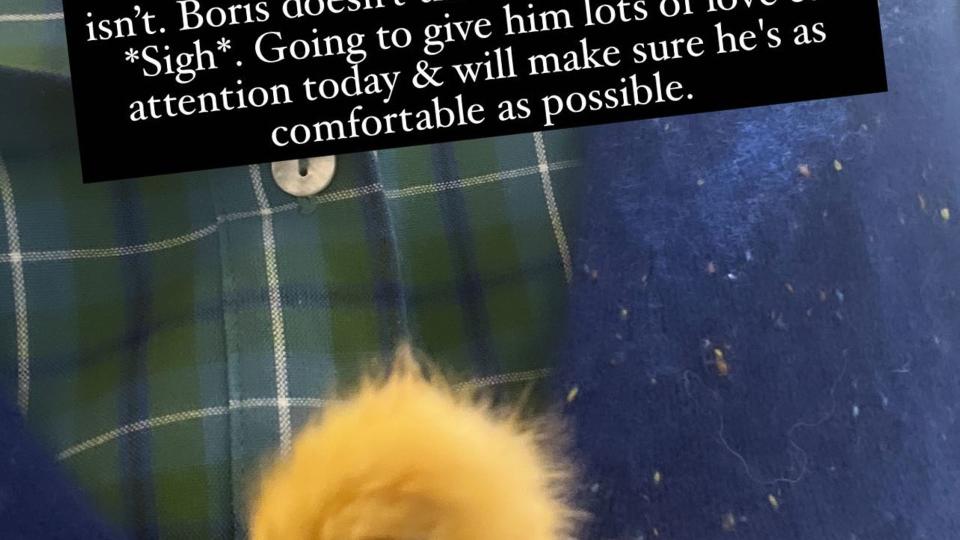 A photo of Donny the chick being held by Carrie Johnson