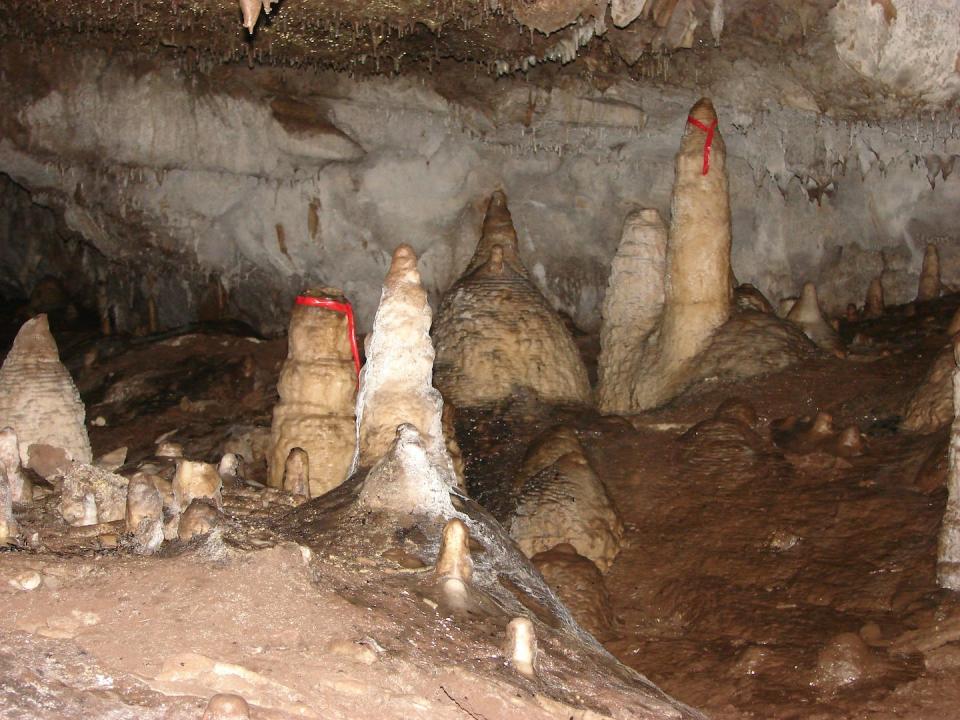 Stalagmite formation are marked inside Mawmluh Cave, where the new study was based. Gayatri Kathayat