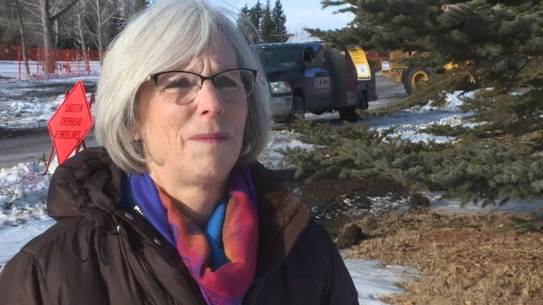 Chopping down of 277 trees in North Glenmore Park shocks some nearby residents