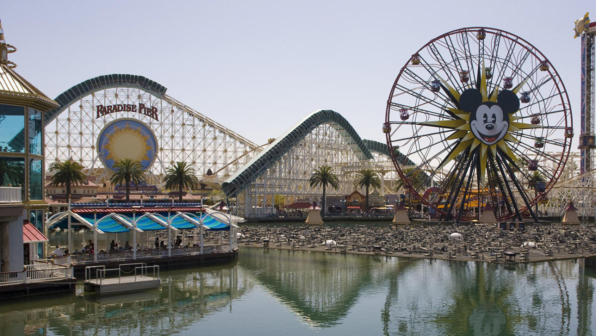 Disney California Adventure Roller Coaster Shut Down Evacuated Due To Selfie Stick 