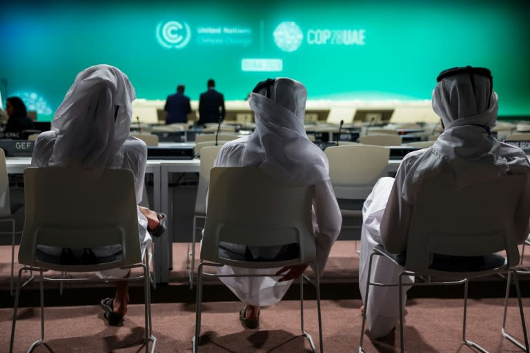 COP28主辦國：上百國家承諾 再生能源產能2030年增2倍