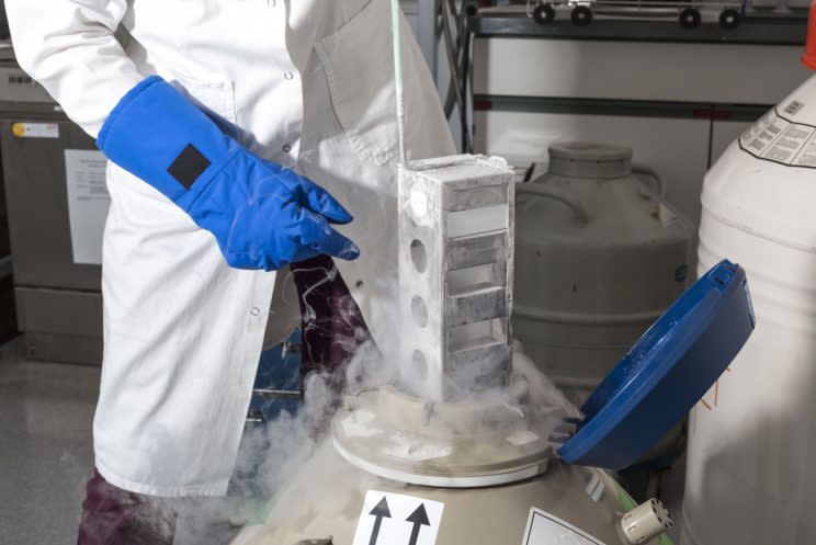 A worker in a cryogenics lab (Rex)