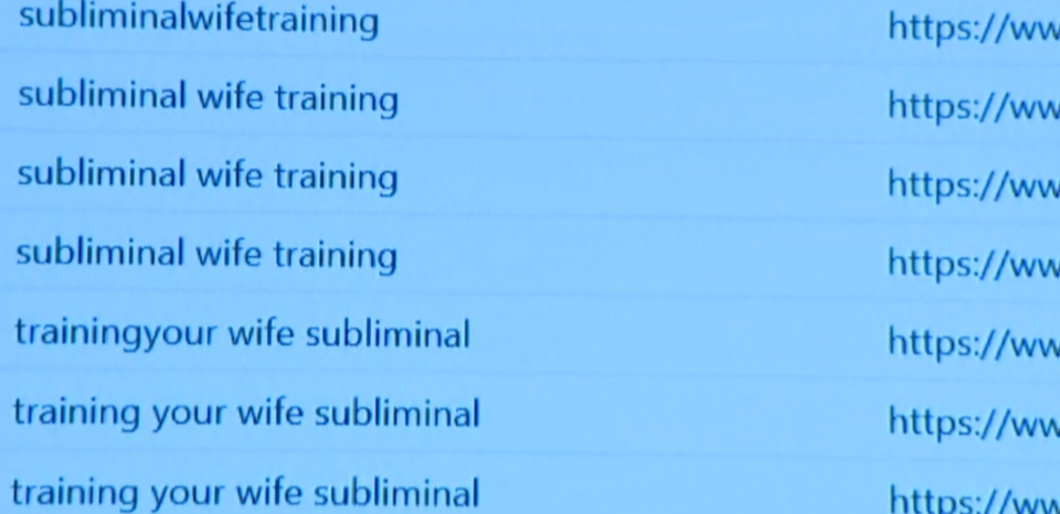 A screengrab shows an internet search history of the phrases "subliminlal wife training" and "training your wife subliminal"