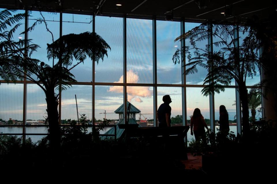 Guests walk through the butterfly garden at the Audubon Insectarium in New Orleans on Tuesday, June 6, 2023.