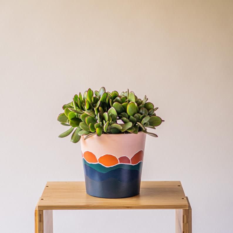 20) Painted Medium Planter