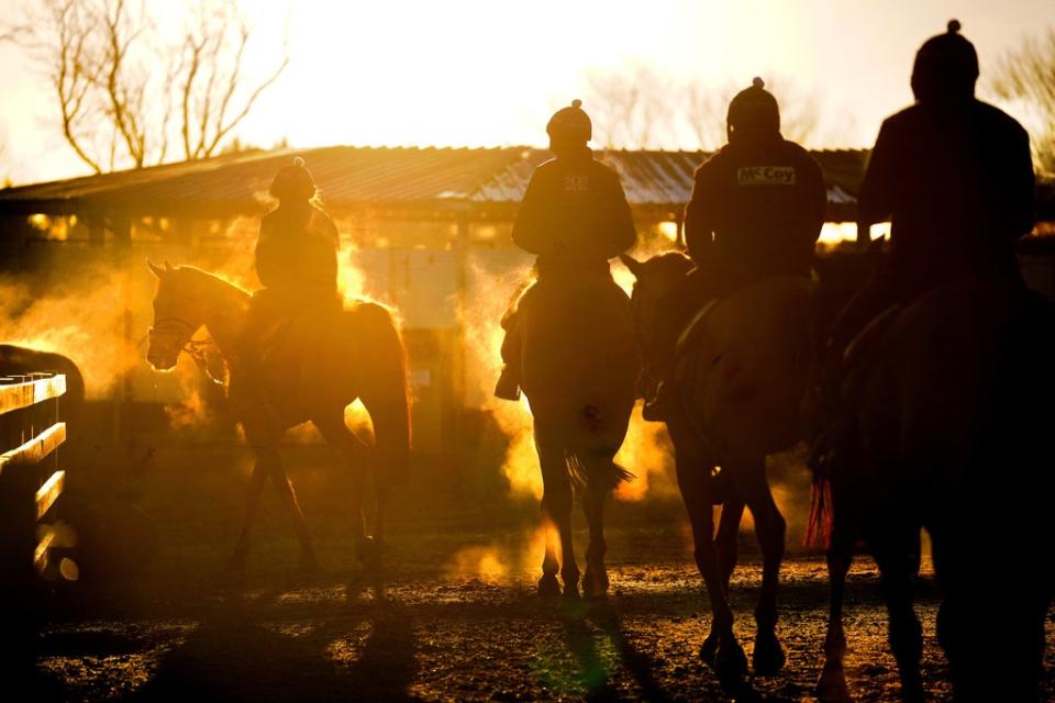 Steam rises from horses after an early morning gallop at stables in Wilmcote, Warwickshire (Victoria Jones/PA) (PA Wire)