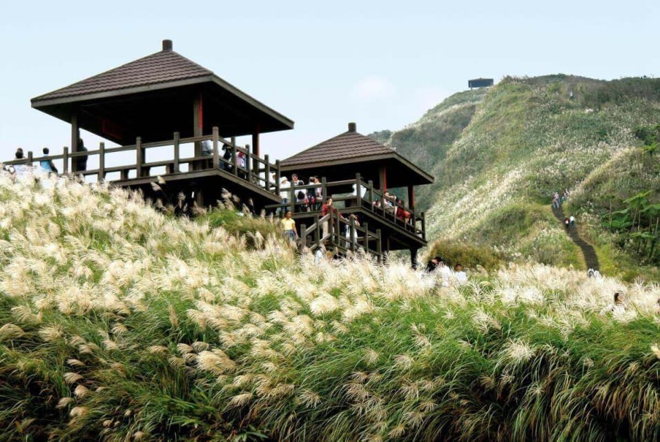 草嶺古道（圖片來源：東北角暨宜蘭海岸國家風景區管理處）