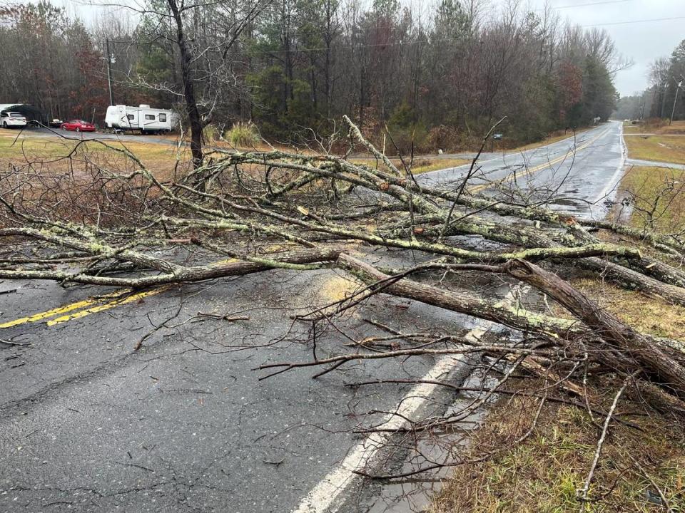 A tree was down on Lincoln Road in York County, South Carolina on Jan. 9, 2023, sheriff deputies said.