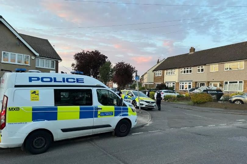 The scene in London where a woman was killed by her two XL Bullies -Credit:Matt Clemenson