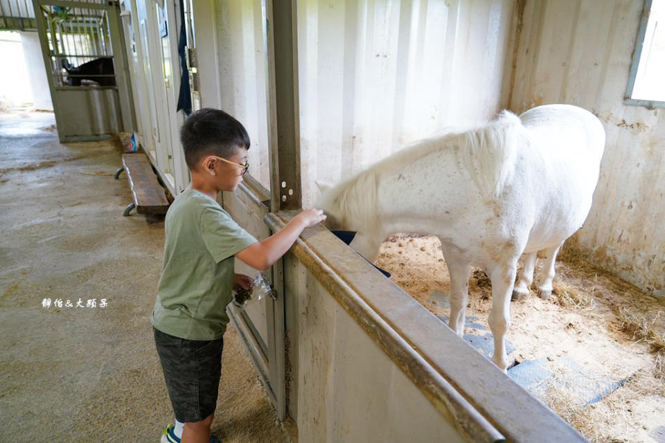 新竹尼普頓馬術創藝園區