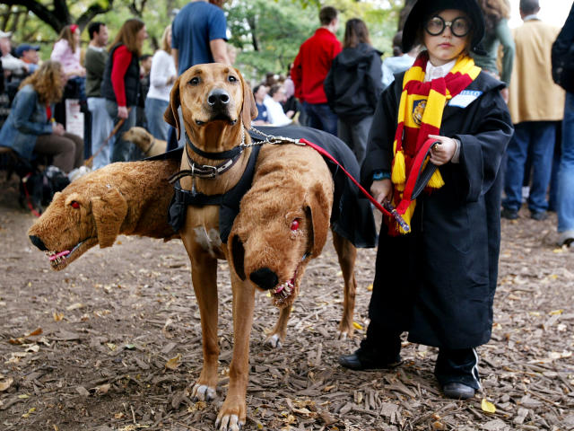 8 Halloween Couples Costumes for You and Your Pet