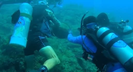 在屏東有潛水教練發現有保育類玳瑁受困流刺網。（圖／東森新聞）