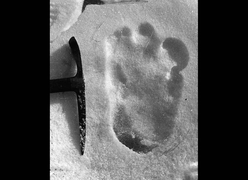 An alleged footprint of a Yeti, or Abominable Snowman, appears in snow near Mount Everest in 1951. Now, scientists are setting out to find evidence of a reported unknown, hairy, bipedal creature known as the Siberian Snowman. 