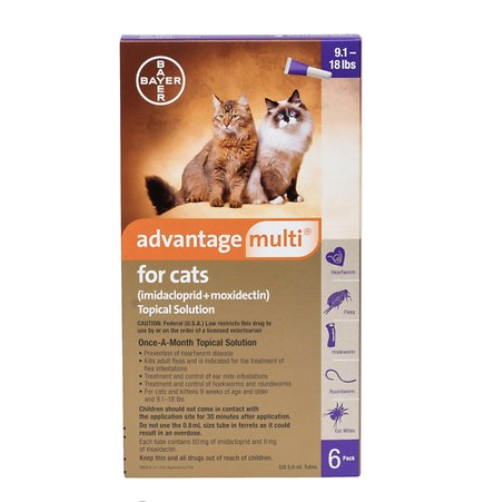 <p><a href="https://go.redirectingat.com?id=74968X1596630&url=https%3A%2F%2Fwww.chewy.com%2Fadvantage-multi-topical-solution-cats%2Fdp%2F173155&sref=https%3A%2F%2Fwww.womansday.com%2Flife%2Fpet-care%2Fg29772340%2Fbest-cat-flea-treatments%2F" rel="nofollow noopener" target="_blank" data-ylk="slk:Shop Now;elm:context_link;itc:0;sec:content-canvas" class="link ">Shop Now</a></p><p>Topical Solution</p><p>$115.19</p><p>chewy.com</p><span class="copyright">Chewy</span>