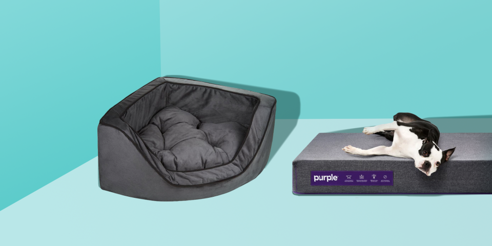 These Cozy Dog Beds Will Be Your Dog's New Favorite Place