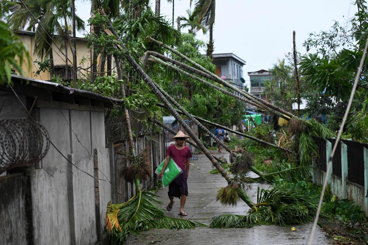 A local resident walks past the fallen trees in Kyauktaw, Myanmar, on Monday.