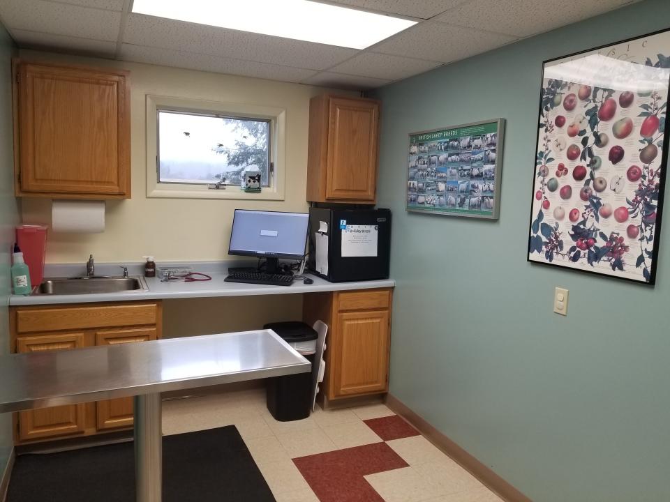 An examing room at the Canisteo Veterinary Hospital, which is now operating under the ownership of Ami, Ruel Maloco and Noell Maloco. Veterinarian Grant Seaman will continue seeing patients through 2024.