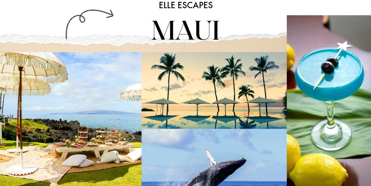 elle maui travel review