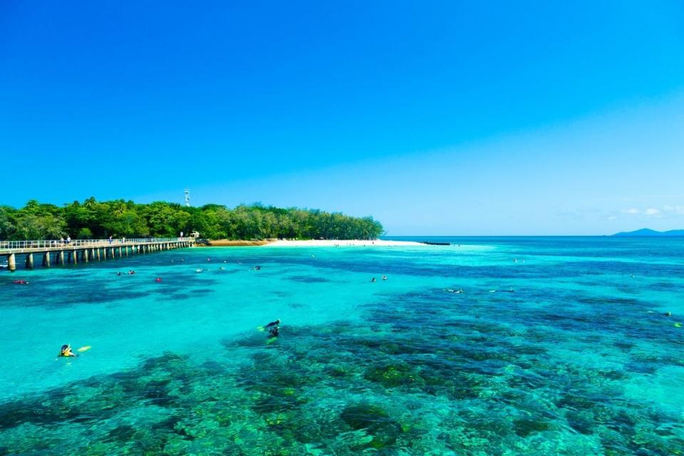 People swim in near the Great Barrier Reef in Queensland. Source: Getty Images