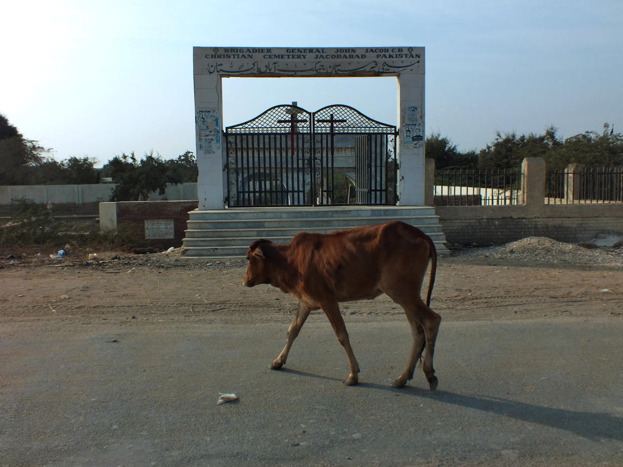 Cows are walking through the road alongside of the famous John Jacob Christian cemetery of Jacobabad. The graveyard has a meaningful association to the city since it is named after the Brig. John Jacob who was buried here in 1858.

Jacobabad is a city in Sindh, Pakistan, serving as both the capital city of Jacobabad District and the administrative centre of Jacobabad Taluka, an administrative subdivision of the district. The town was founded near the village of Khangarh in 1847 by Brigadier General John Jacob.