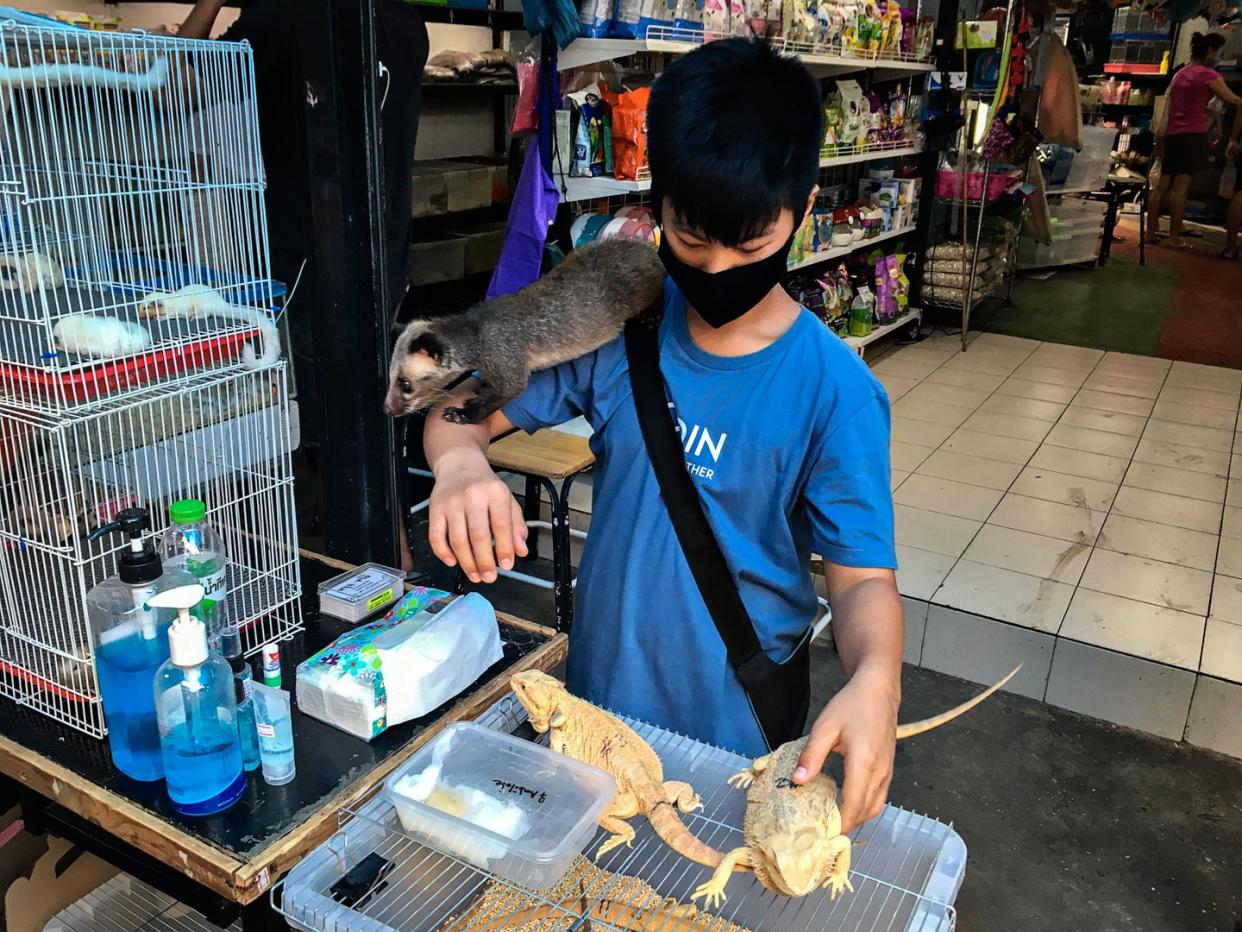 <p>A teenager with iquanas, badger and other animals in Chatuchak market, Bangkok</p> (C Thomsen)