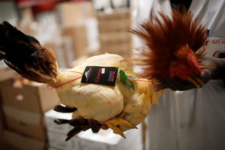 A worker holds a capon in the poultry pavilion in the Rungis International wholesale food market as buyers prepare for the Christmas holiday season in Rungis, south of Paris, France, December 6, 2017. Picture taken December 6, 2017. REUTERS/Benoit Tessier
